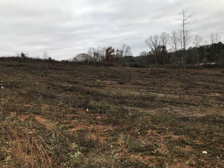 Photo #2: Lot 6 Devault Street
