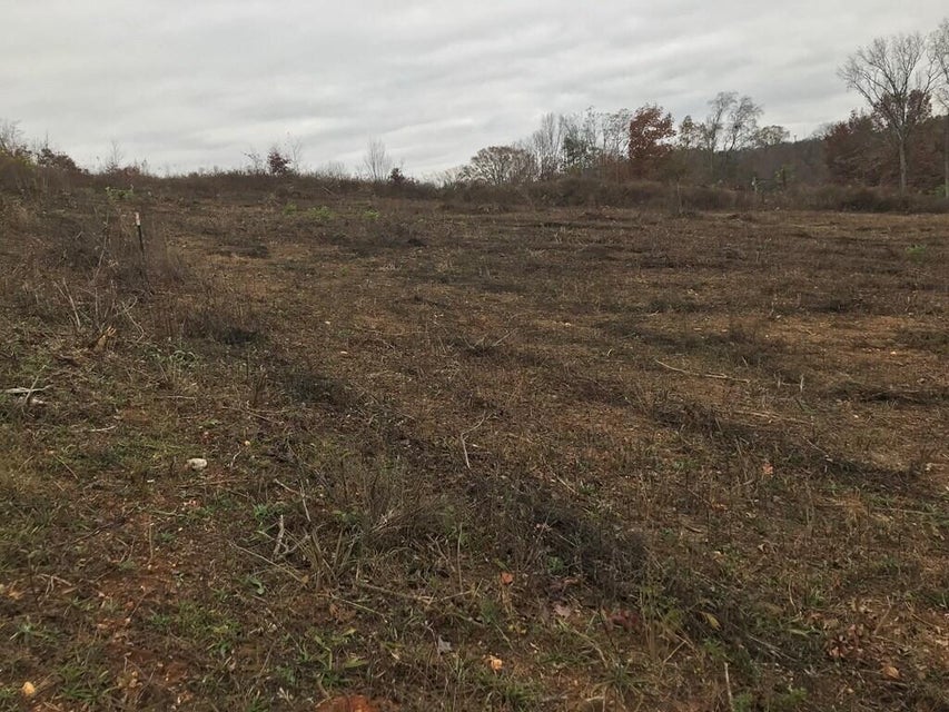 Photo #4: Lot 6 Devault Street