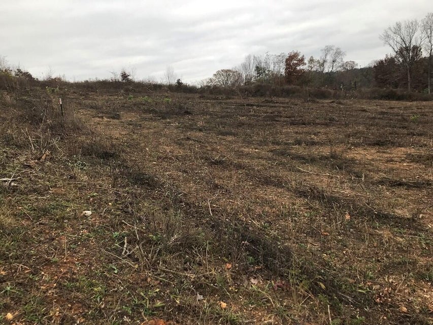 Photo #5: Lot 6 Devault Street