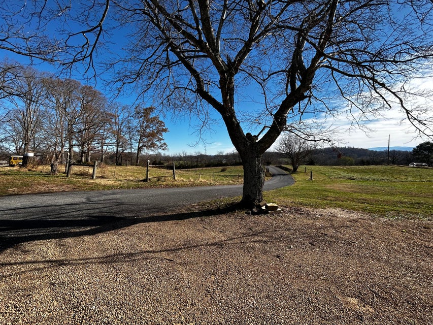 Photo #7: 319 Stockton Road