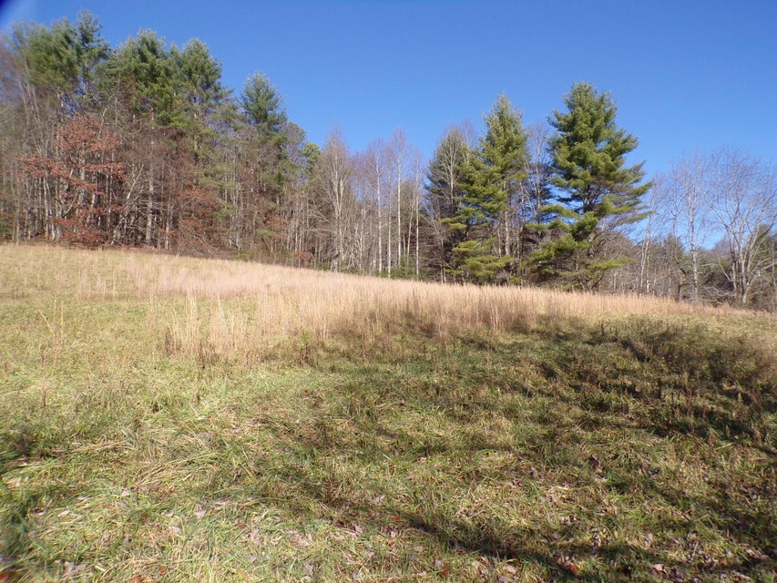 Photo #8: 3242 Deer Run Road