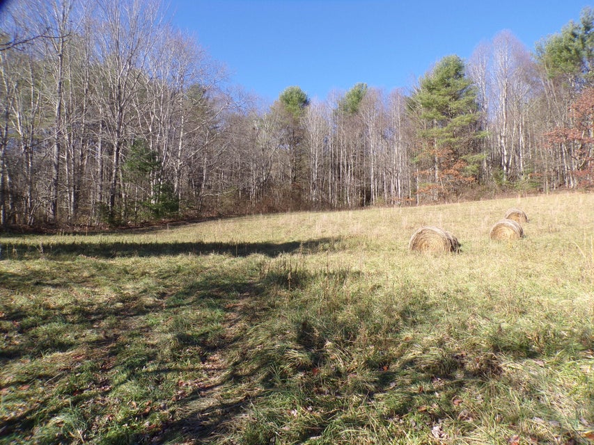 Photo #9: 3242 Deer Run Road