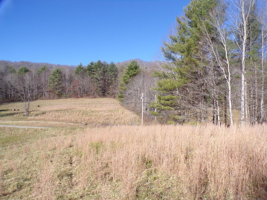 Photo #17: 3242 Deer Run Road