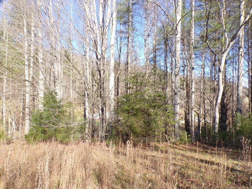 Photo #22: 3242 Deer Run Road