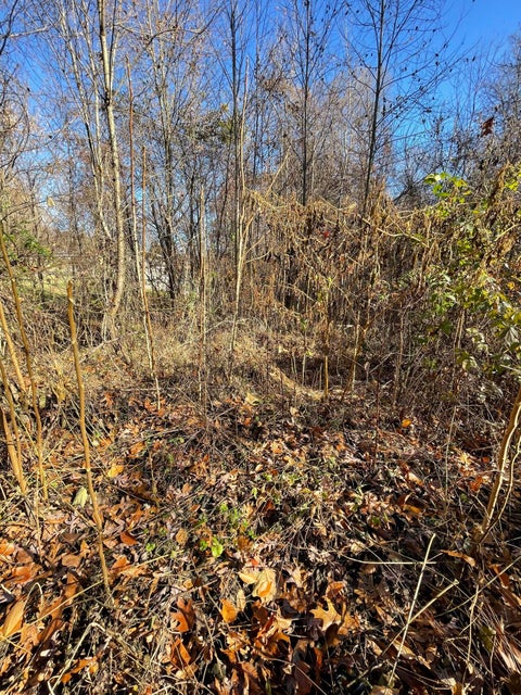 Photo #3: Lot #11 Glencliff Drive