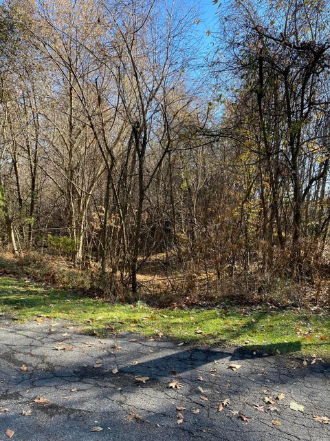 Photo #14: Lot #11 Glencliff Drive