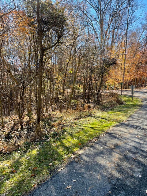 Photo #21: Lot #11 Glencliff Drive