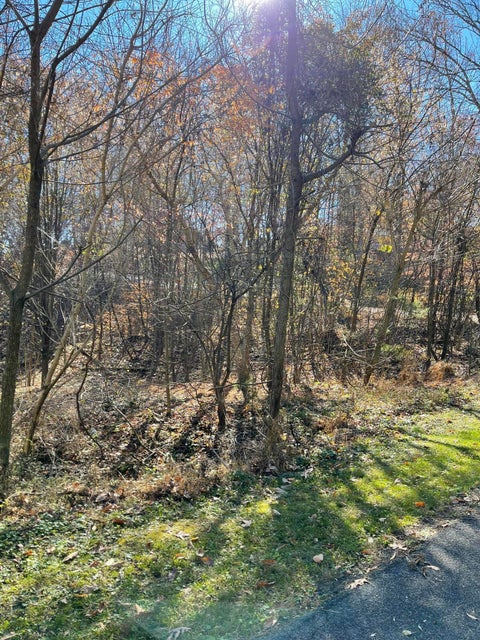 Photo #20: Lot #11 Glencliff Drive