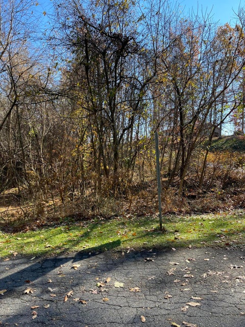 Photo #23: Lot #11 Glencliff Drive
