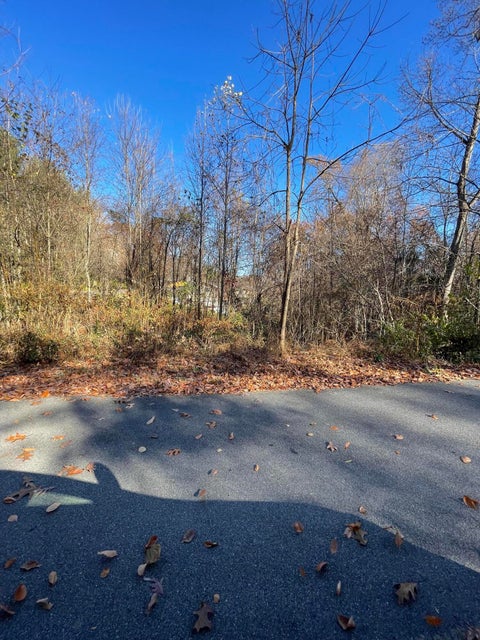 Photo #26: Lot #11 Glencliff Drive