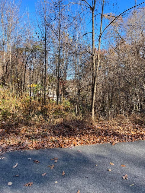 Photo #27: Lot #11 Glencliff Drive