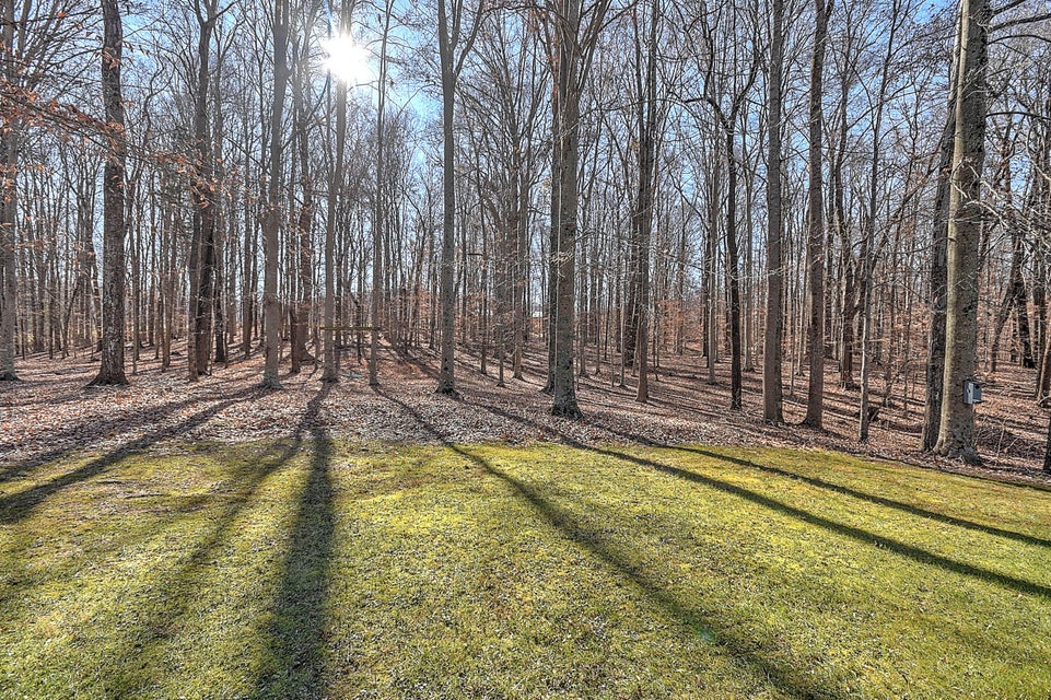 Photo #39: 921 Childress Ferry Road