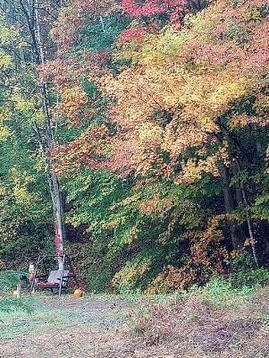 Photo #18: 101 Mabry Road