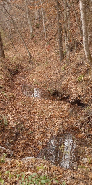 Photo #12: 101 Mabry Road