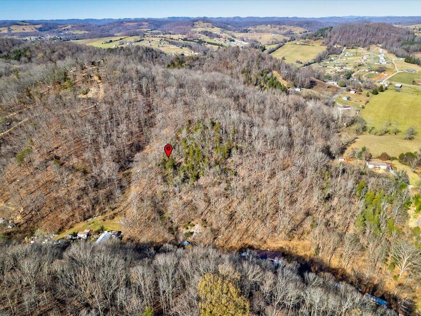 Photo #22: 0 Reesor Hollow Road