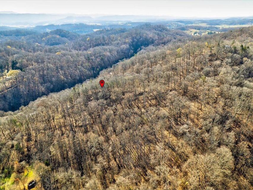 Photo #27: 0 Reesor Hollow Road