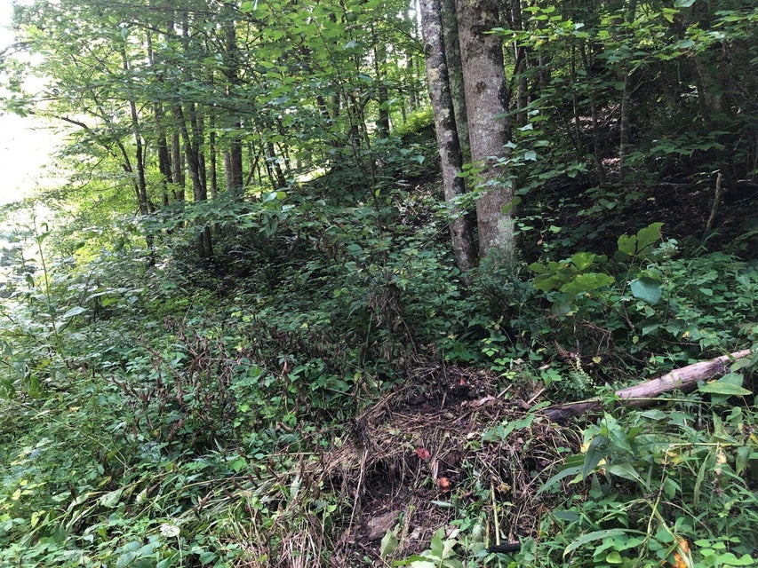 Photo #3: Tbd Ingram Road