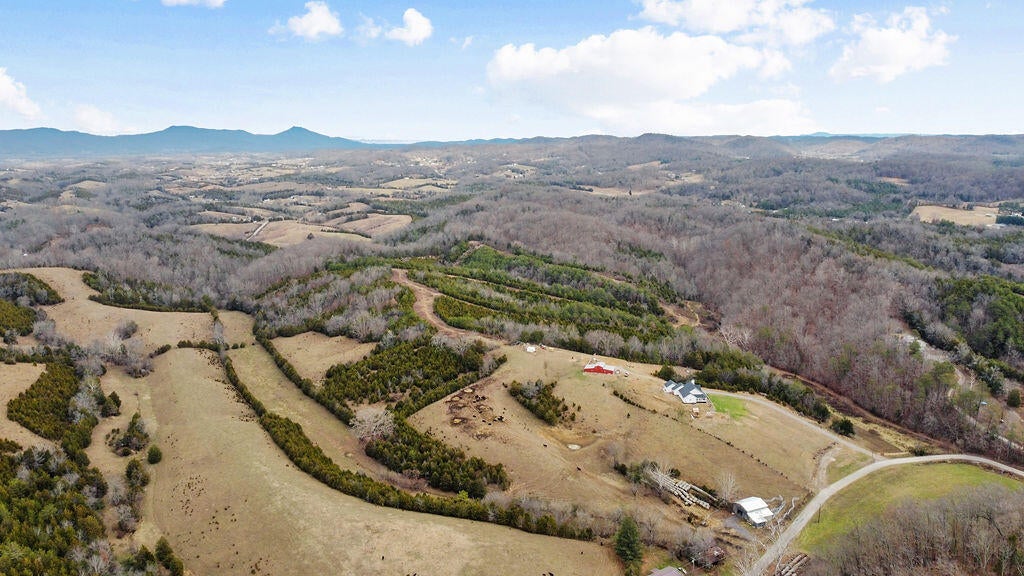 Photo #8: 73 Acres Union Road