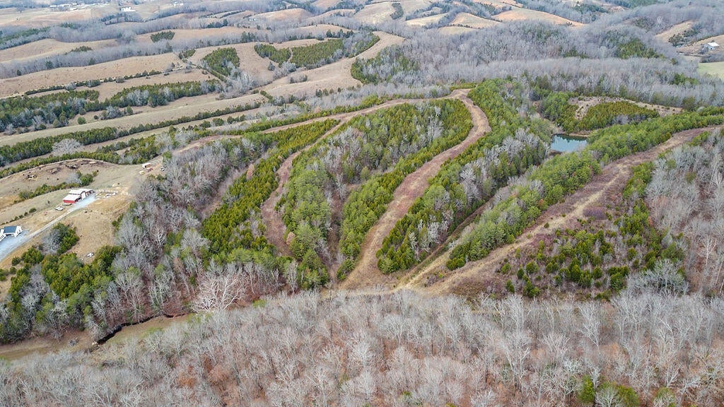 Photo #11: 73 Acres Union Road