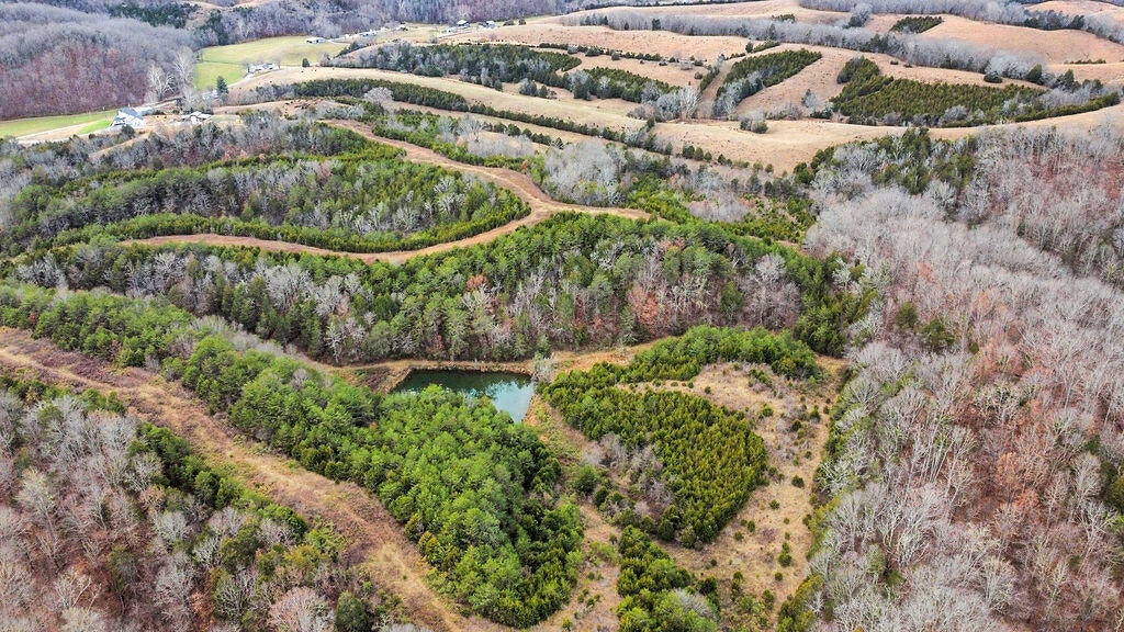 Photo #3: 73 Acres Union Road