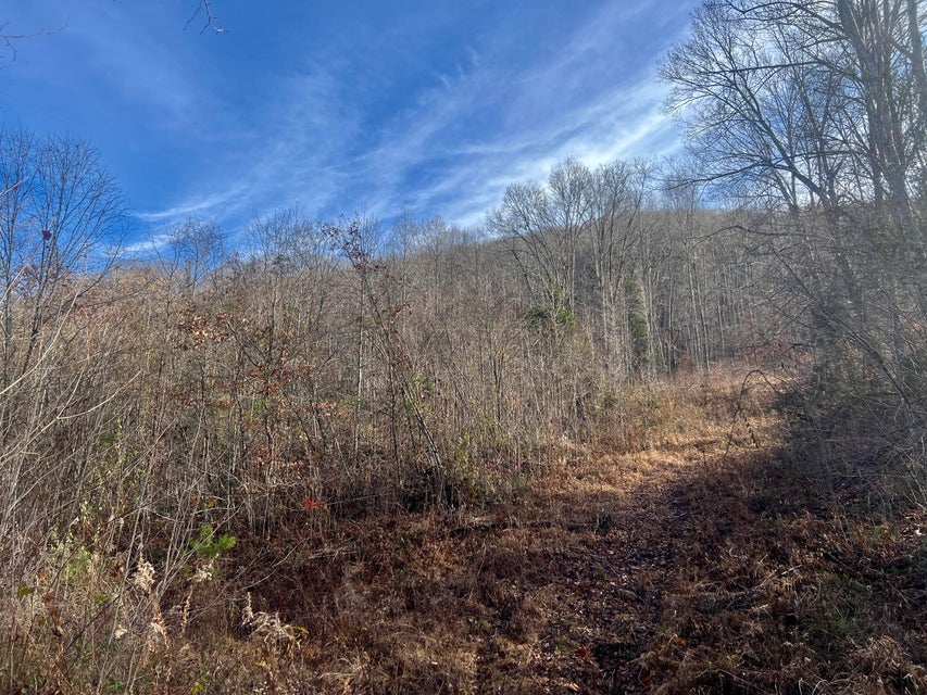 Photo #11: 6431 Snake Hollow Road