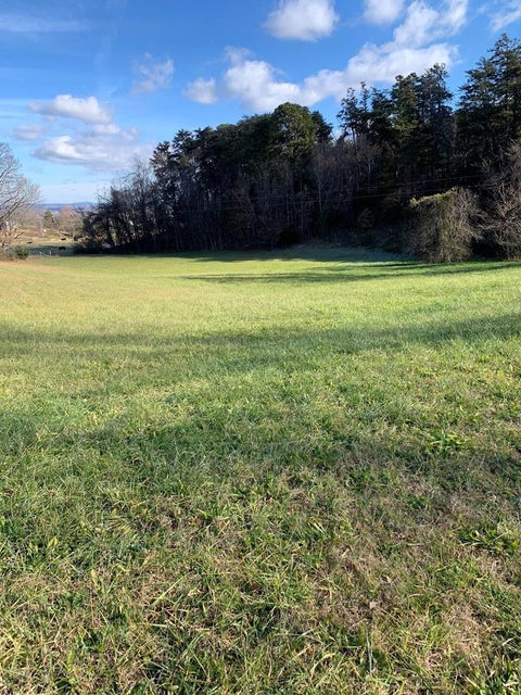 Photo #7: 67 Acres Perry Davis Road