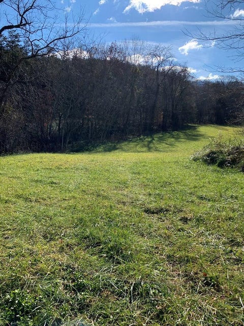 Photo #9: 67 Acres Perry Davis Road