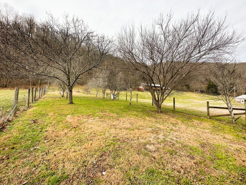 Photo #47: 24135 Fork River Road