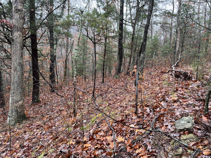 Photo #7: 1875 Dyer Hollow Road