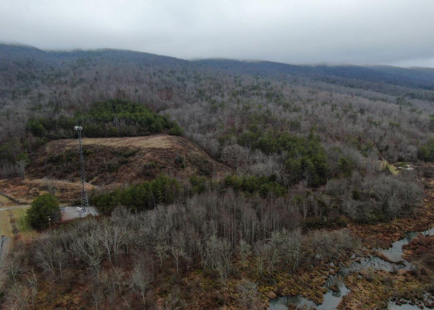 Photo #7: 471 Acres Highway 25e