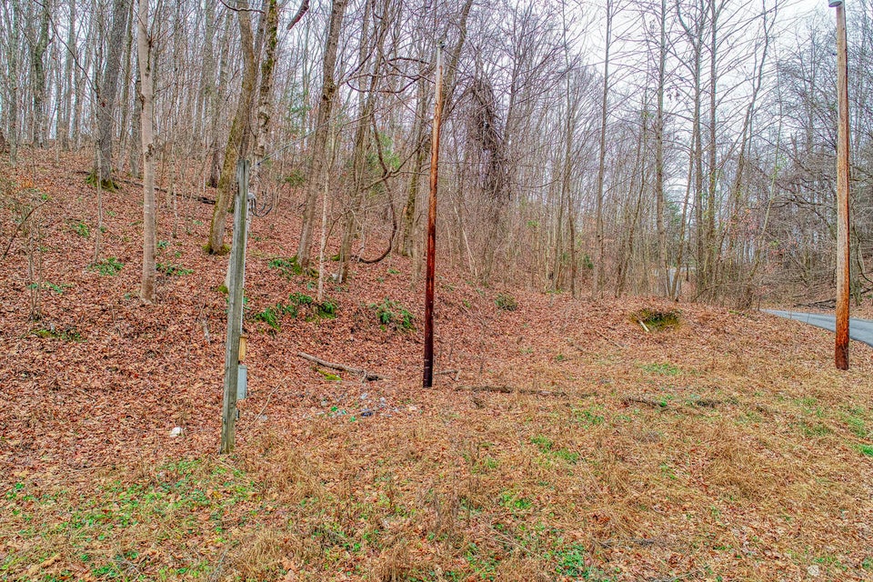 Photo #2: Tbd Red Hill Road