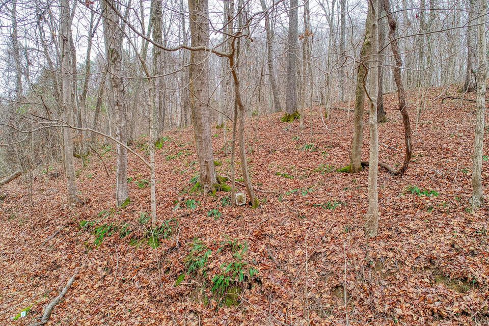 Photo #8: Tbd Red Hill Road