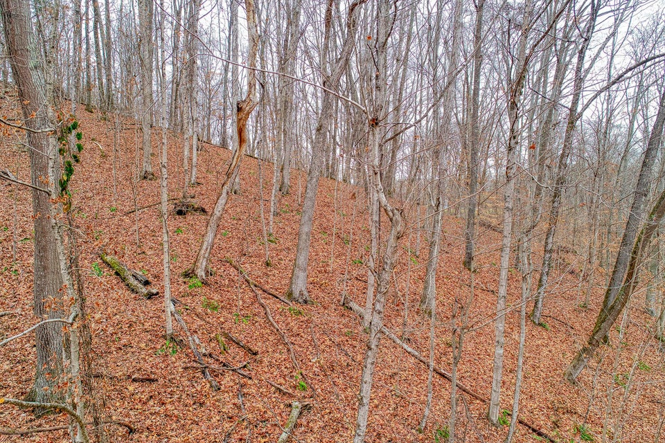 Photo #12: Tbd Red Hill Road