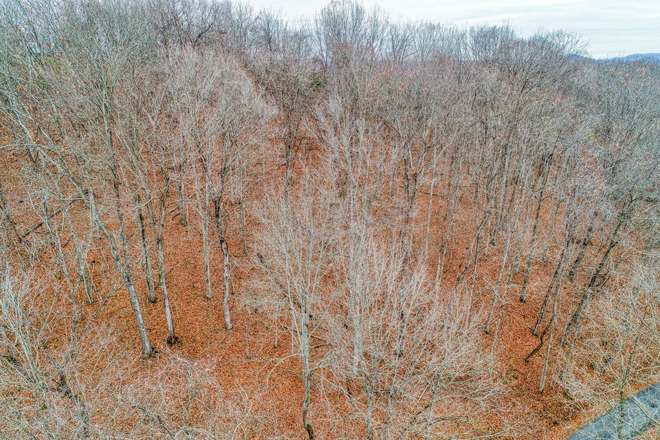 Photo #16: Tbd Red Hill Road