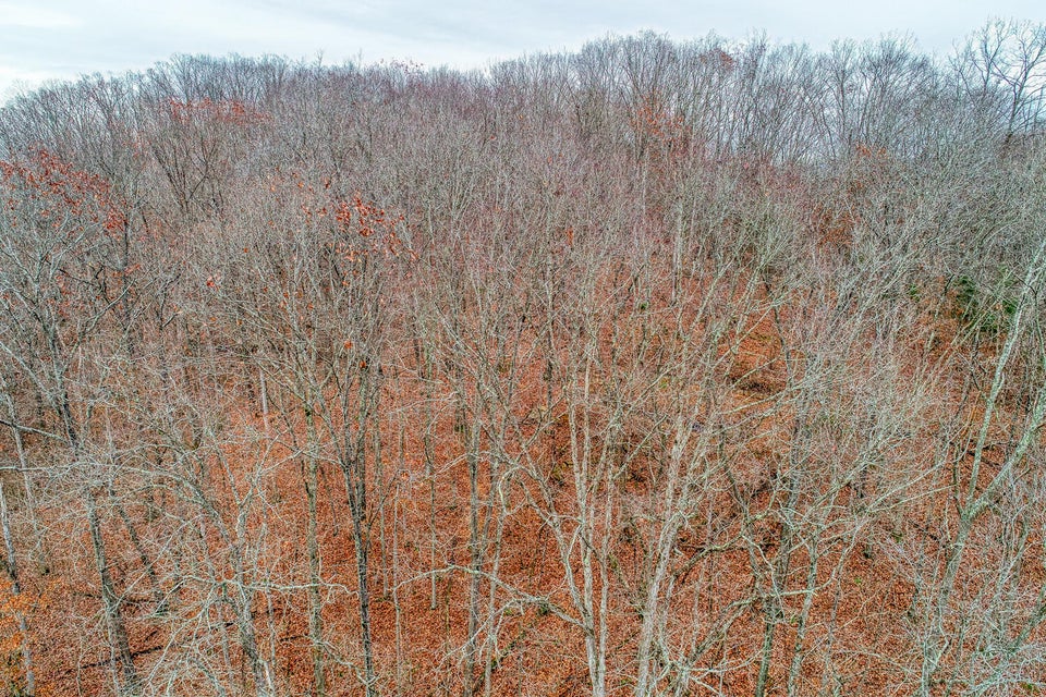 Photo #18: Tbd Red Hill Road
