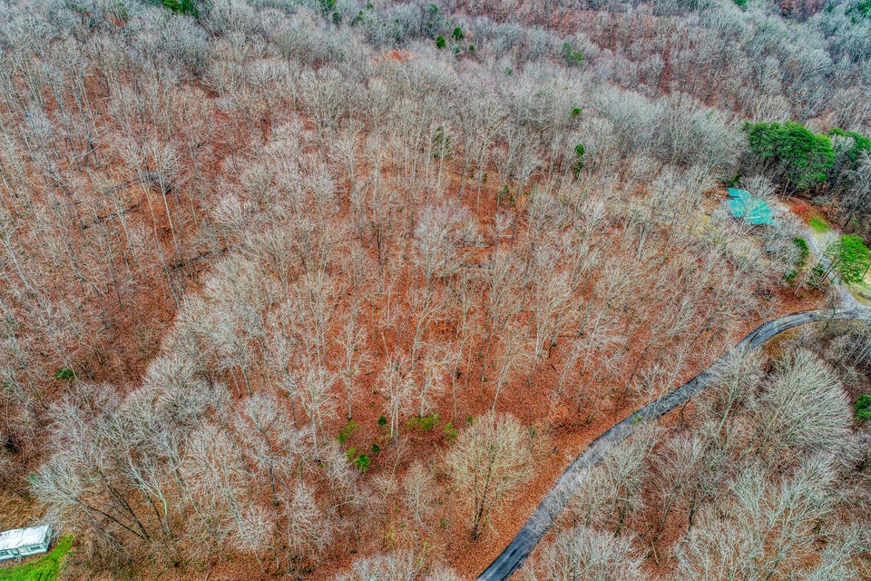 Photo #21: Tbd Red Hill Road