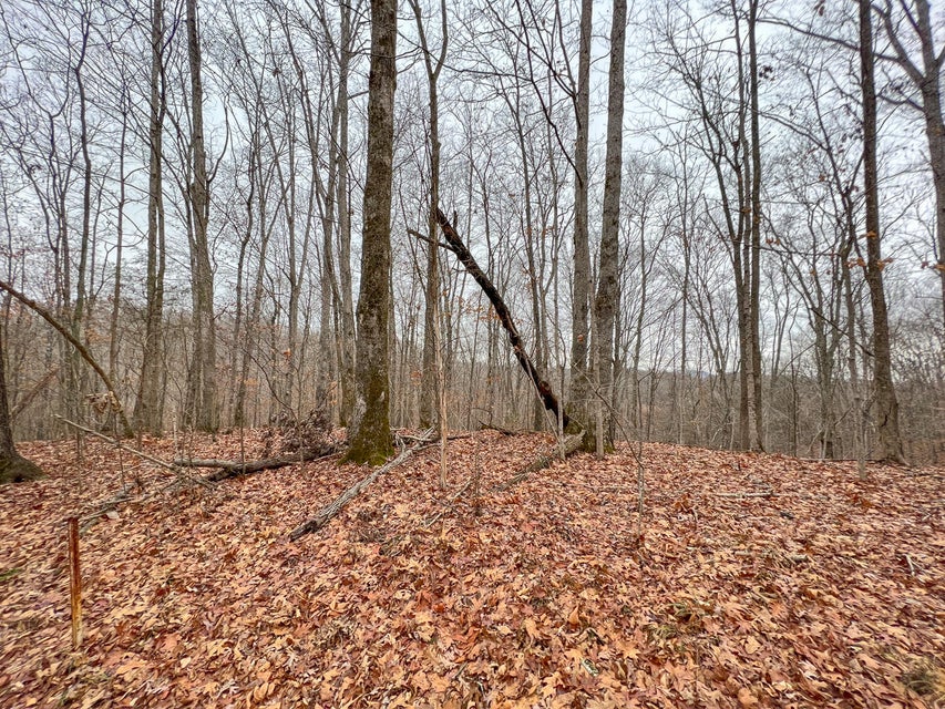 Photo #38: Tbd Red Hill Road
