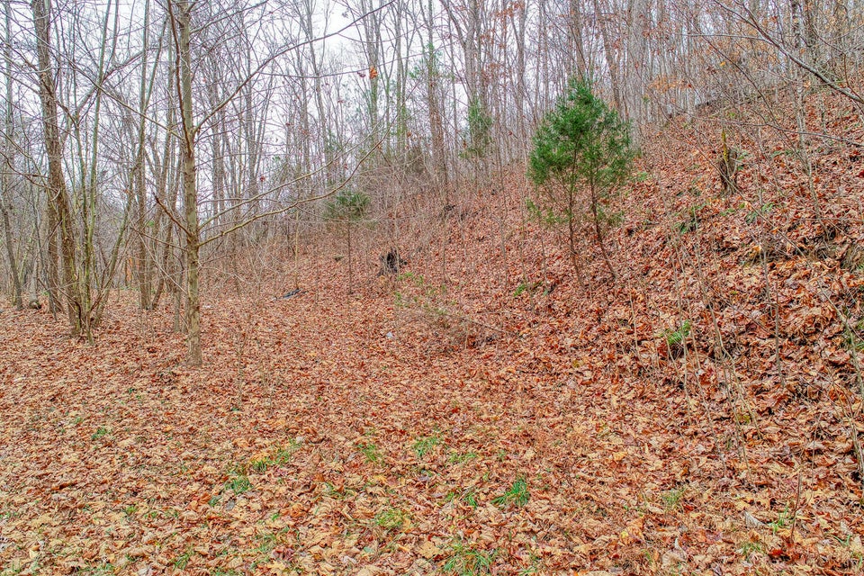 Photo #42: Tbd Red Hill Road
