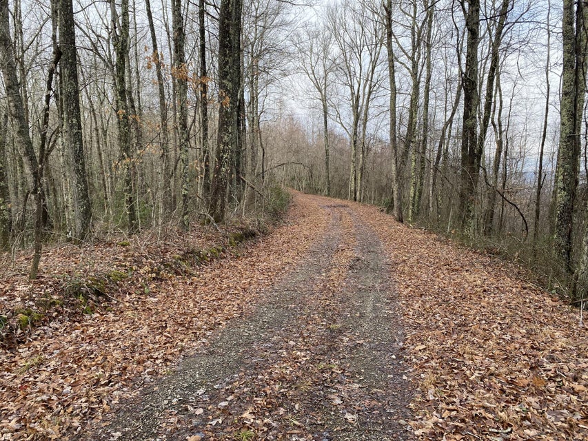 Photo #9: Tbd Pine Camp Road