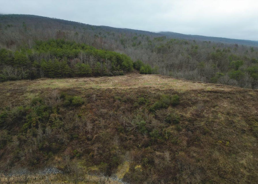 Photo #10: 471 Acres Highway 25e