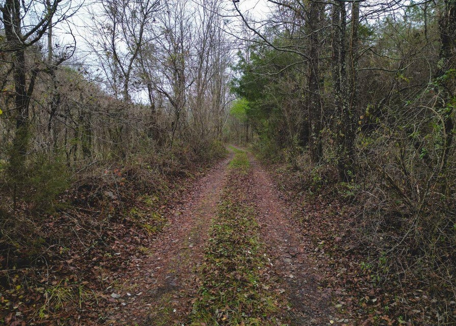 Photo #16: 471 Acres Highway 25e