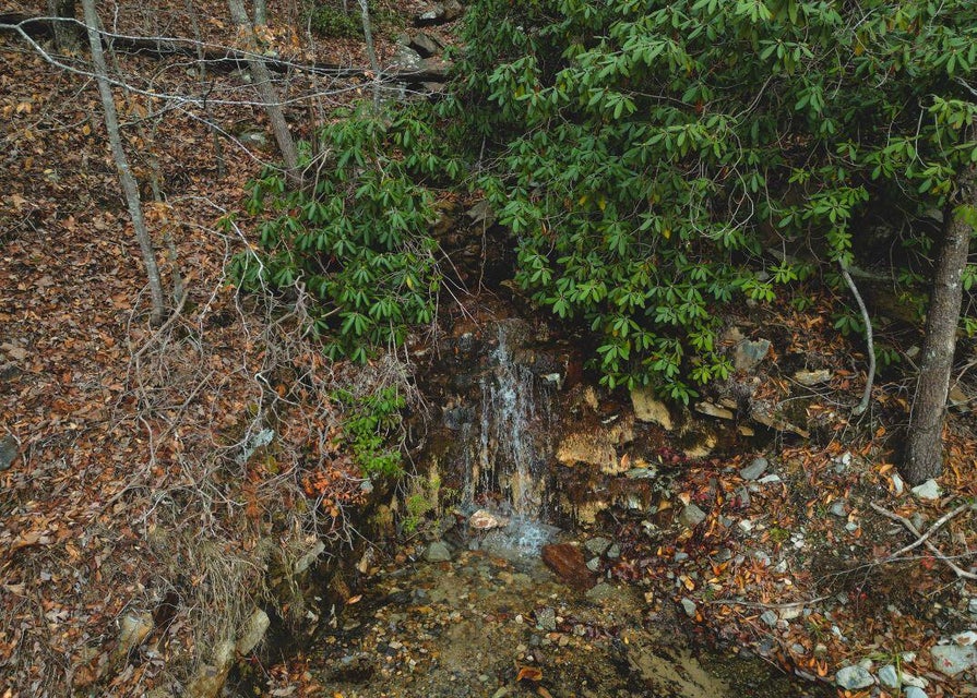 Photo #20: 471 Acres Highway 25e