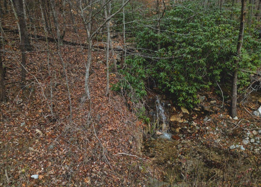 Photo #21: 471 Acres Highway 25e