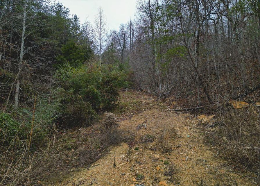 Photo #29: 471 Acres Highway 25e