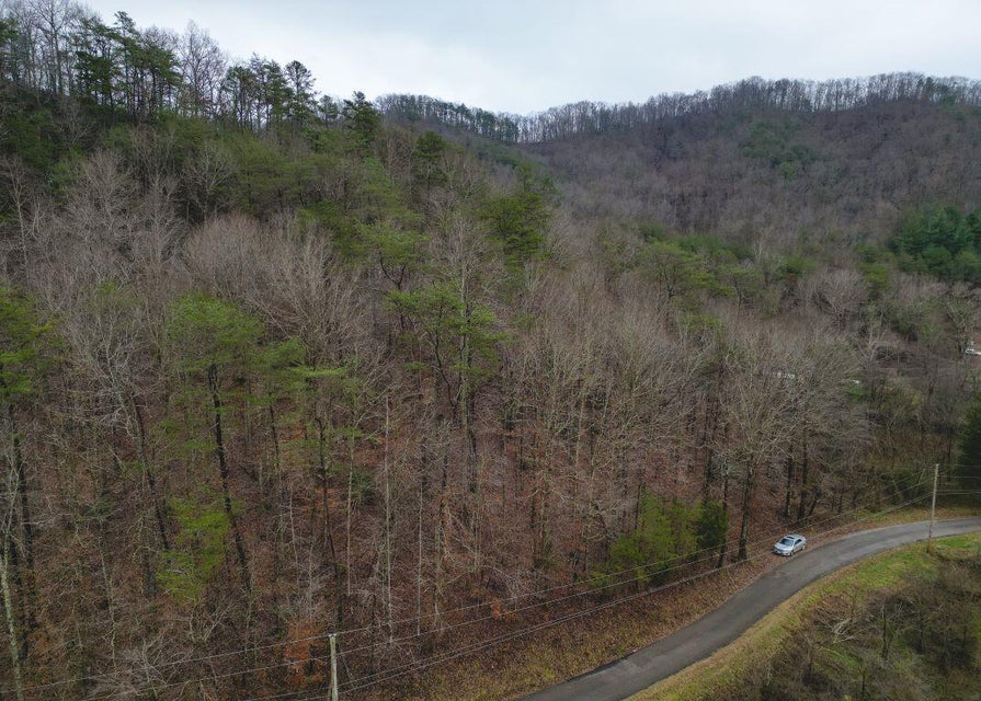 Photo #32: 471 Acres Highway 25e