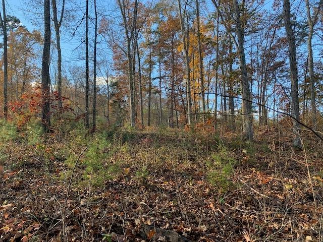Photo #2: Lot 23R Sandy Ridge Road
