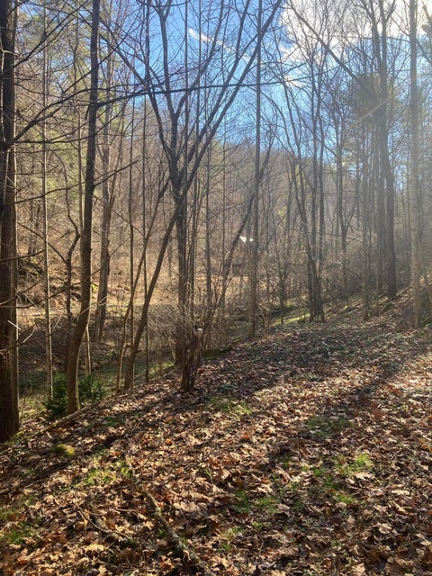 Photo #3: Lot 28 Norris Road