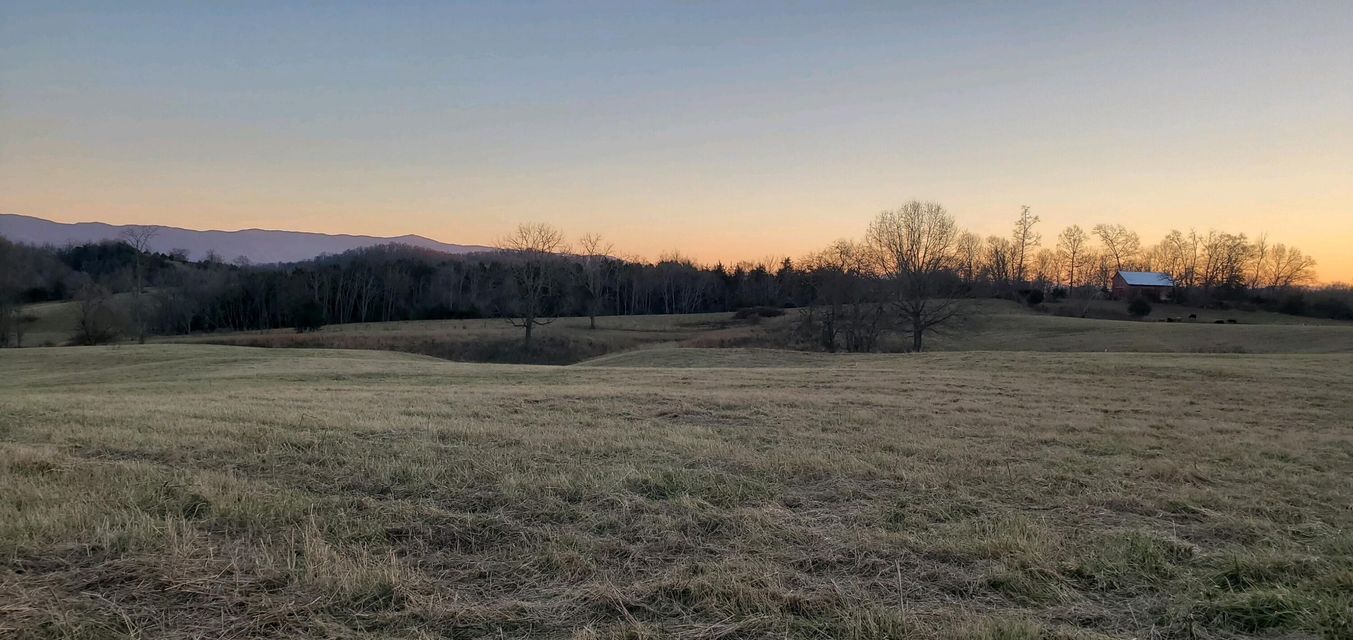 Photo #8: Lot 7 Snapps Ferry Road