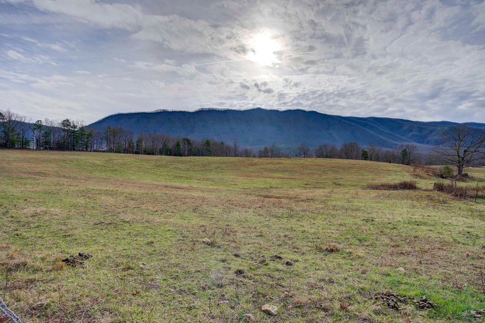 Photo #17: 345 Colyer Road