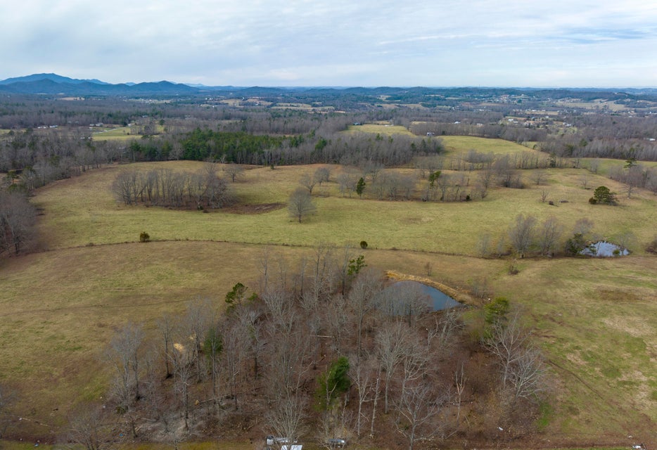 Photo #20: 345 Colyer Road